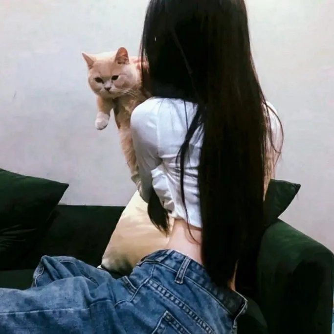 我要怎么感动你