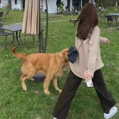 德克鲁传奇